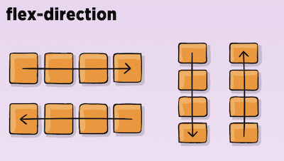 Flex Direction